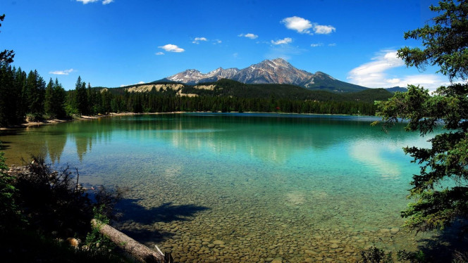 一张美味的图片 &middot; #2737