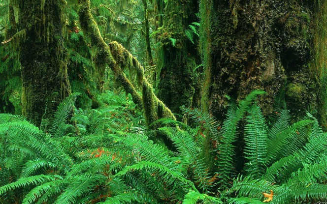 一张美味的图片 &middot; #2544