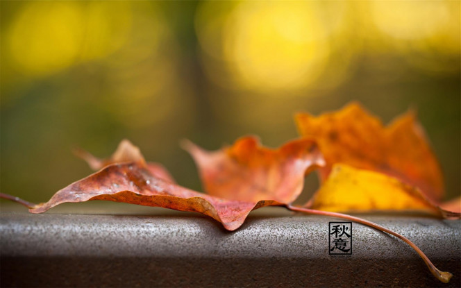 一张美味的图片 &middot; #3958