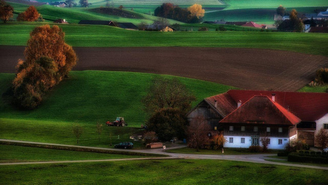 一张美味的图片 &middot; #4409