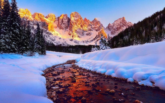 一张美味的图片 &middot; #3237