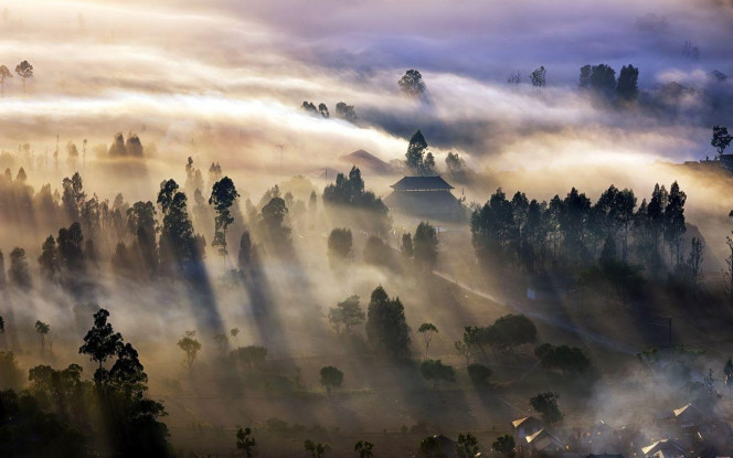 一张美味的图片 &middot; #4338