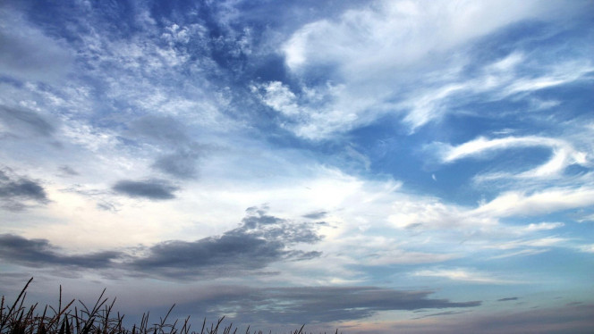 一张美味的图片 &middot; #2342