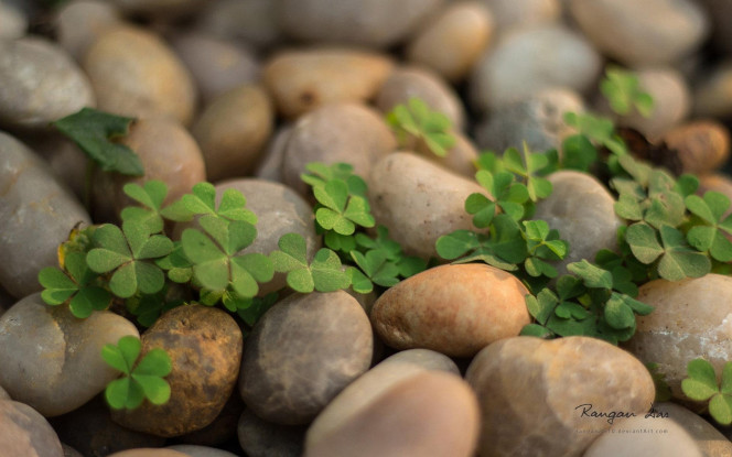 一张美味的图片 &middot; #2187