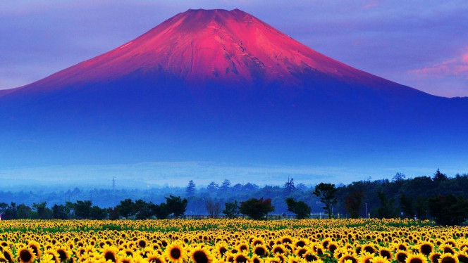 一张美味的图片 &middot; #4266