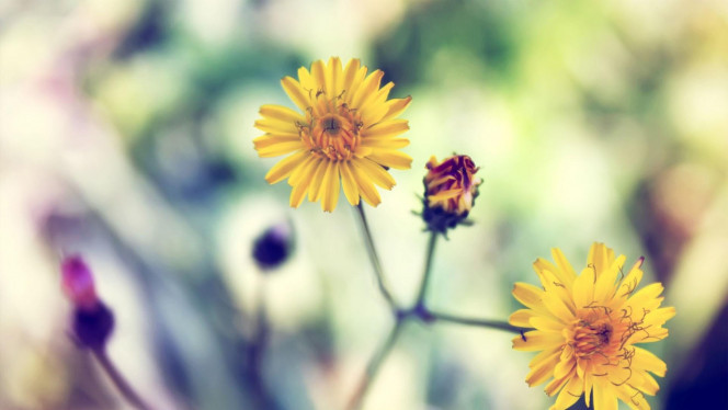 一张美味的图片 &middot; #2442