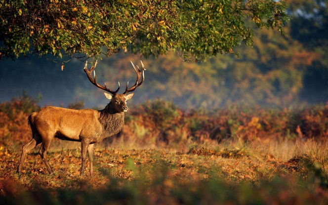 一张美味的图片 &middot; #4014