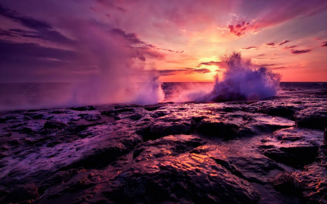 一张美味的图片 &middot; #1311