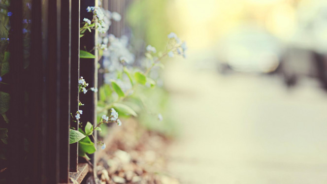 一张美味的图片 &middot; #3851