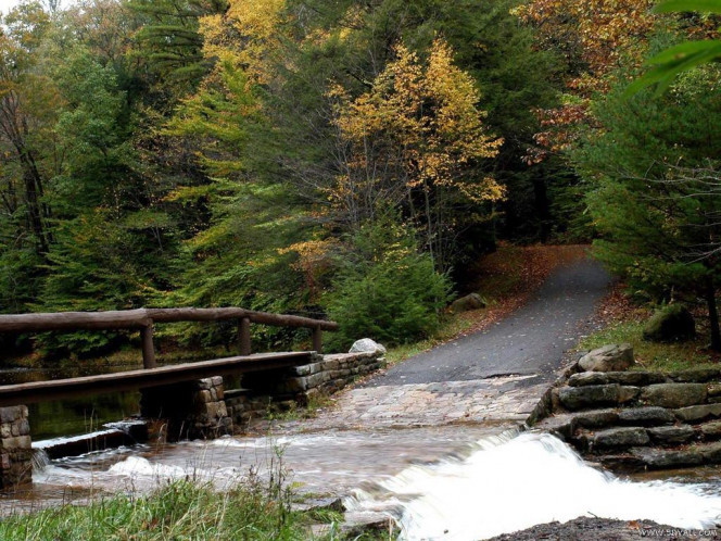 一张美味的图片 &middot; #1019