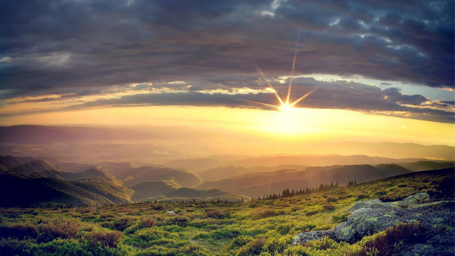 一张美味的图片 &middot; #1287