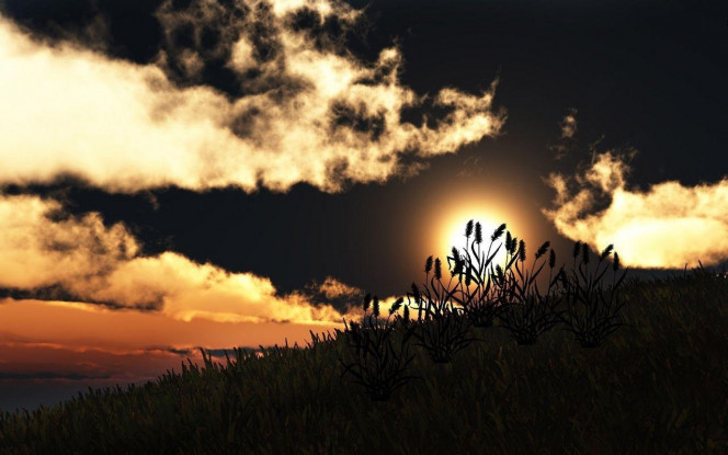 一张美味的图片 &middot; #2461