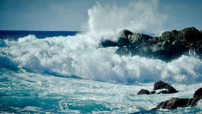 一张美味的图片 &middot; #4015