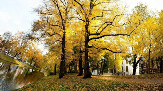 一张美味的图片 &middot; #3703