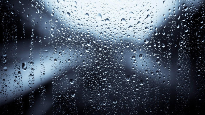 一张美味的图片 &middot; #2518