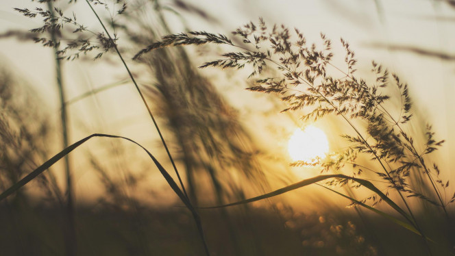 一张美味的图片 &middot; #5215