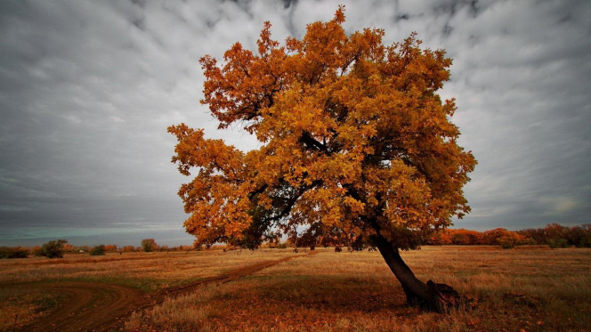 一张美味的图片 &middot; #3562