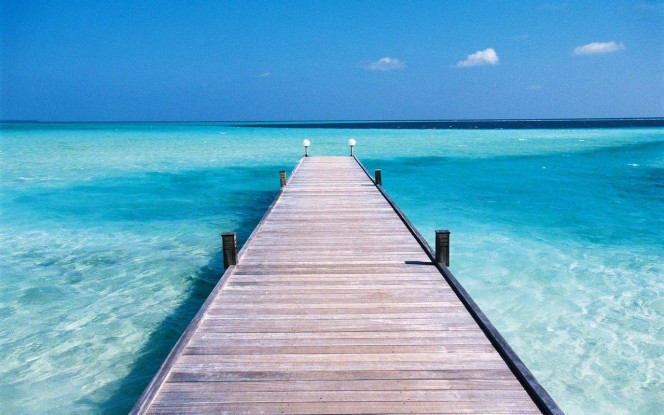 一张美味的图片 &middot; #4289