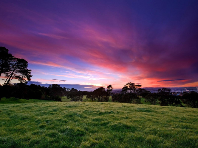 一张美味的图片 &middot; #1554