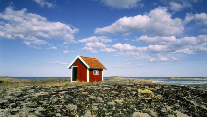 一张美味的图片 &middot; #2908