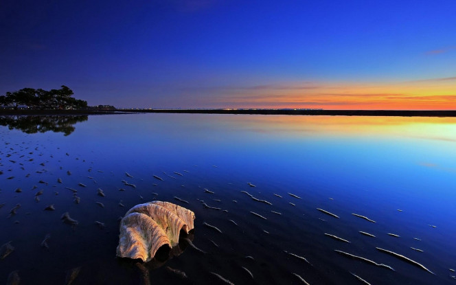 一张美味的图片 &middot; #3277