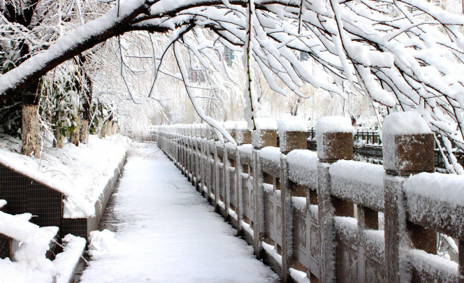 一张美味的图片 &middot; #1418