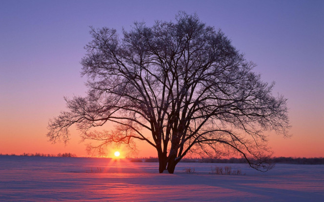 一张美味的图片 &middot; #2204