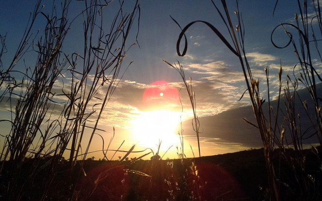 一张美味的图片 &middot; #3009