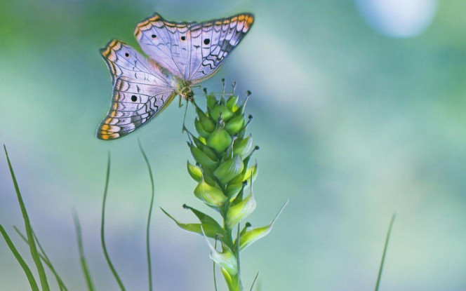 一张美味的图片 &middot; #3063