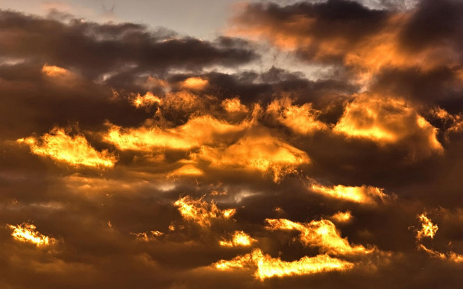 一张美味的图片 &middot; #2058