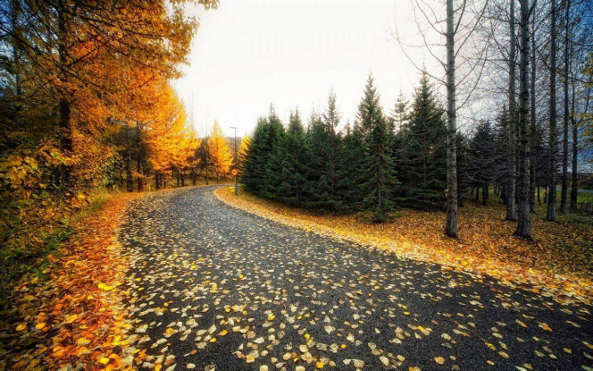 一张美味的图片 &middot; #4049