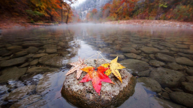 一张美味的图片 &middot; #3279