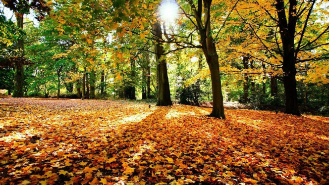 一张美味的图片 &middot; #1842