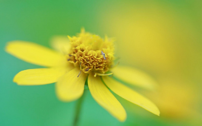 一张美味的图片 &middot; #2299