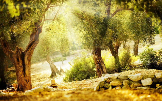 一张美味的图片 &middot; #1984