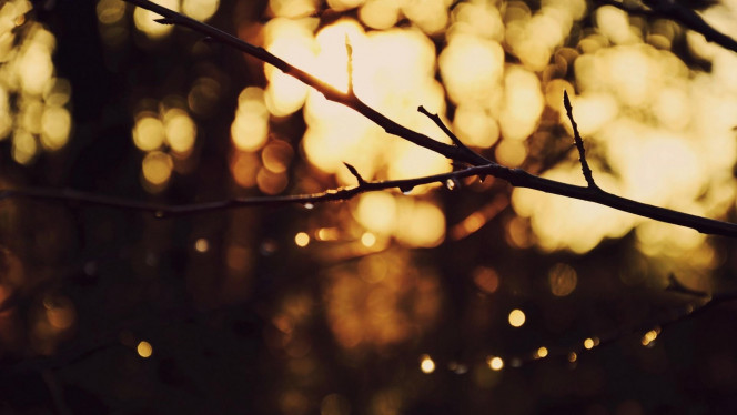 一张美味的图片 &middot; #4473