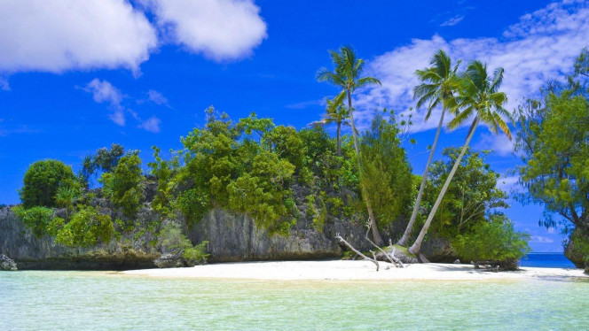 一张美味的图片 &middot; #1734