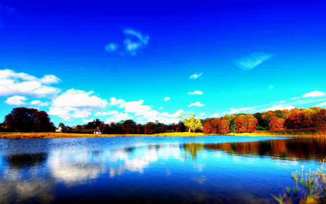 一张美味的图片 &middot; #1713