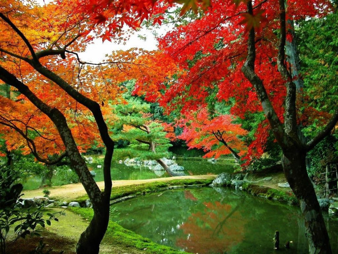 一张美味的图片 &middot; #505