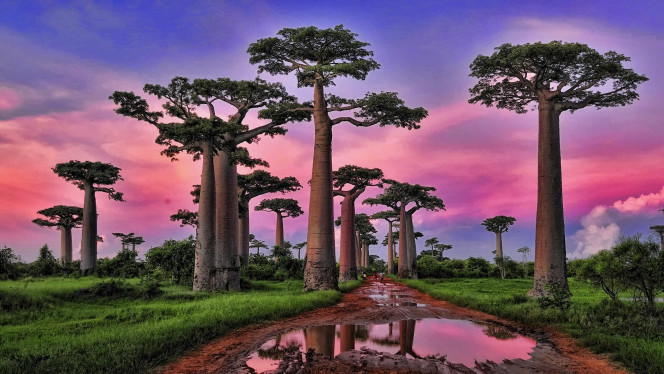 一张美味的图片 &middot; #1945