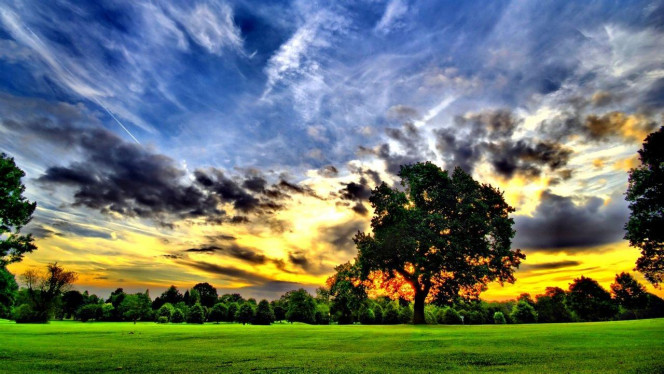 一张美味的图片 &middot; #1899