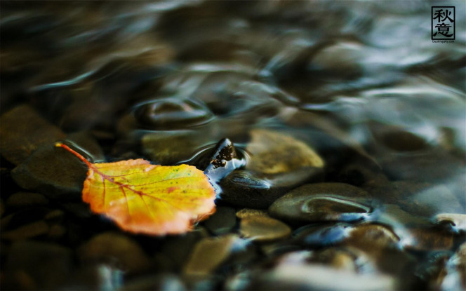 一张美味的图片 &middot; #3961