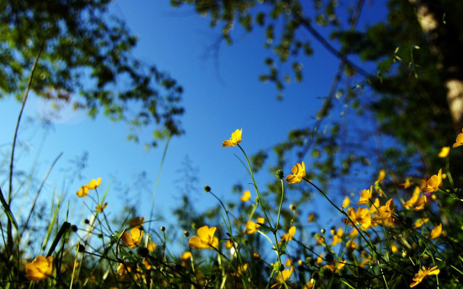 一张美味的图片 &middot; #1097