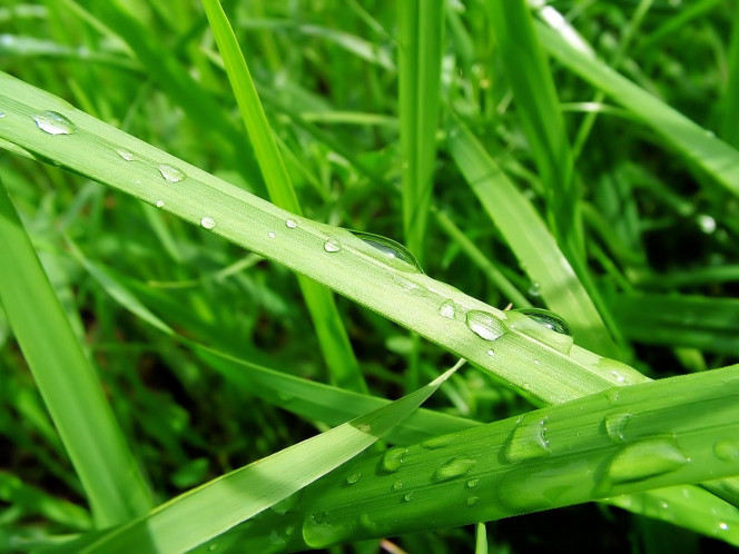 一张美味的图片 &middot; #922