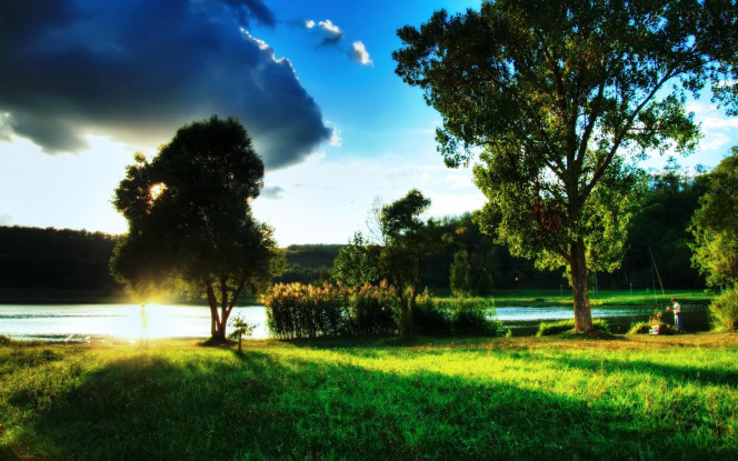 一张美味的图片 &middot; #1603