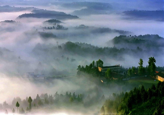 一张美味的图片 &middot; #1374