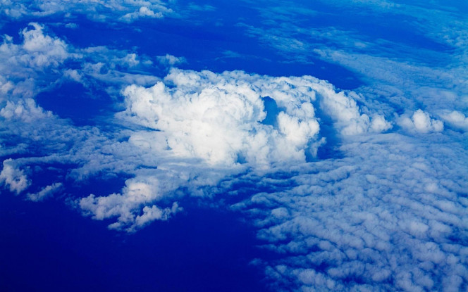 一张美味的图片 &middot; #3011