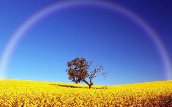 一张美味的图片 &middot; #702