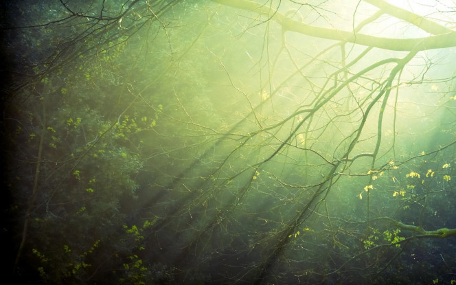 一张美味的图片 &middot; #1588