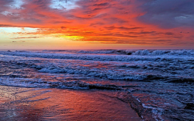 一张美味的图片 &middot; #3083